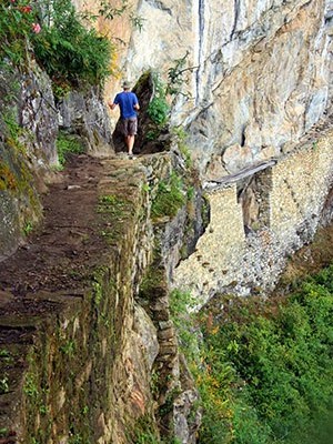 Inca Trail Hiker