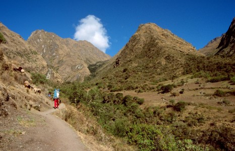 Inca Trail vs. Lares Trail: How to Get the Most out of Your Adventure